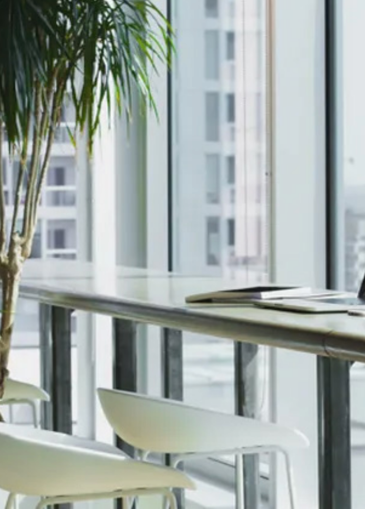 Sustainability as a focus